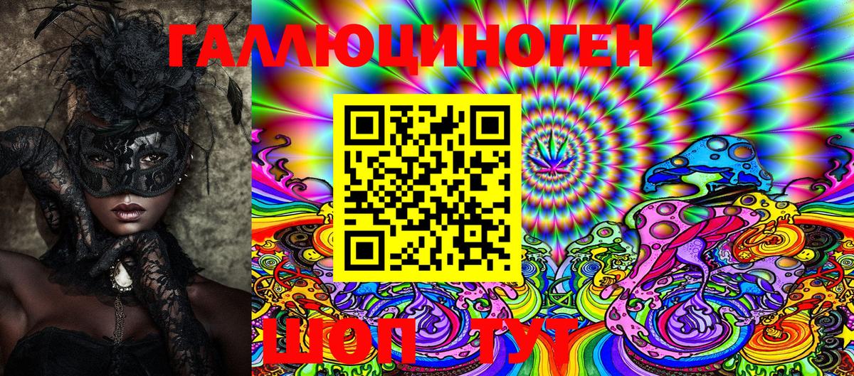 Псилоцибиновые грибы Psilocybe Усть-Илимск