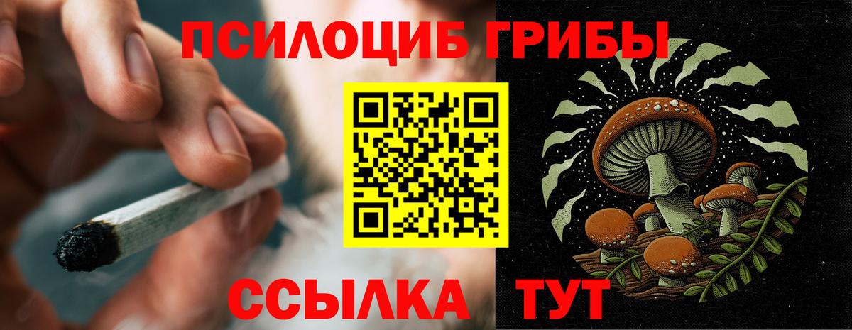 Галлюциногенные грибы GOLDEN TEACHER  Галлюциногенные грибы мицелий  Усть-Илимск  Вход с VPN 
